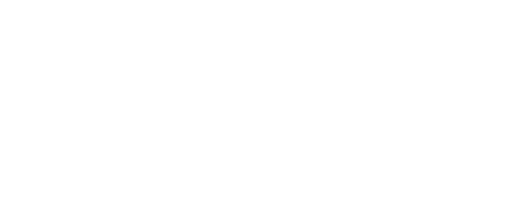 Lakeview Village Logo